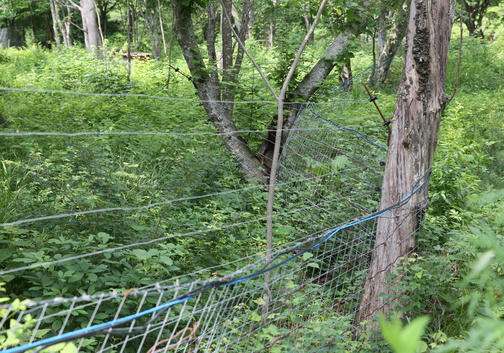 基地监控系统