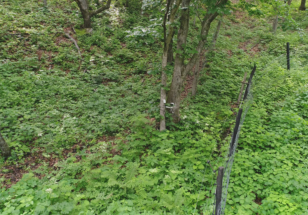 基地监控系统