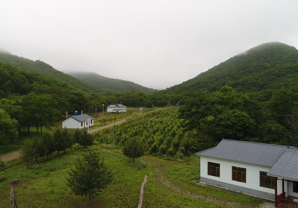 基地全景