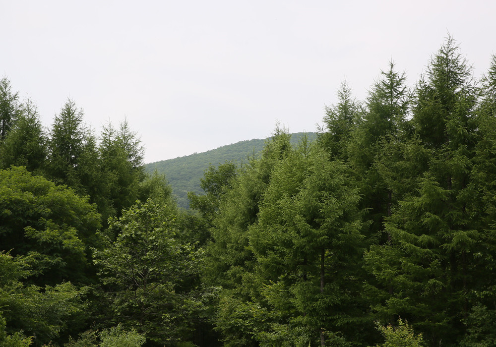 基地全景