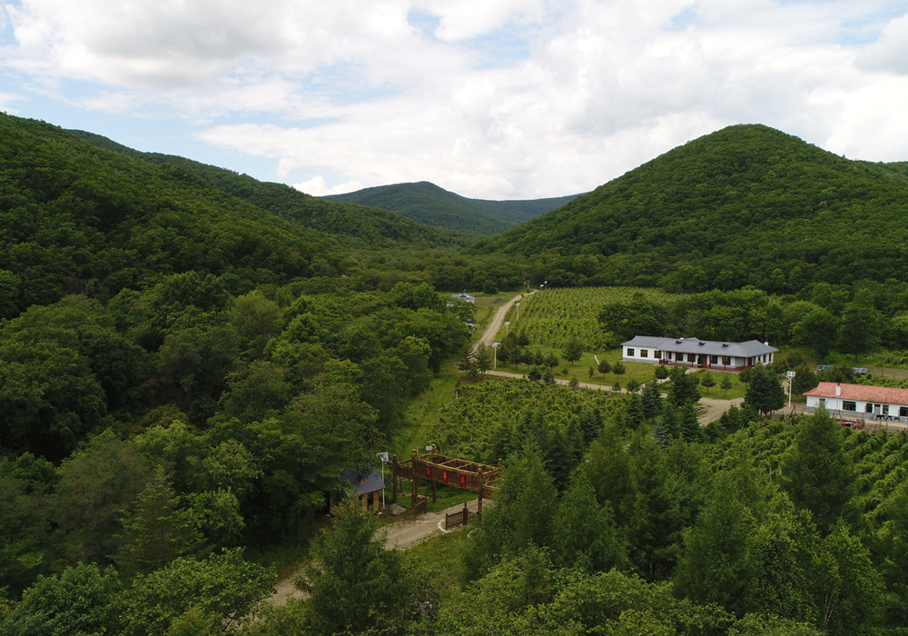 基地全景