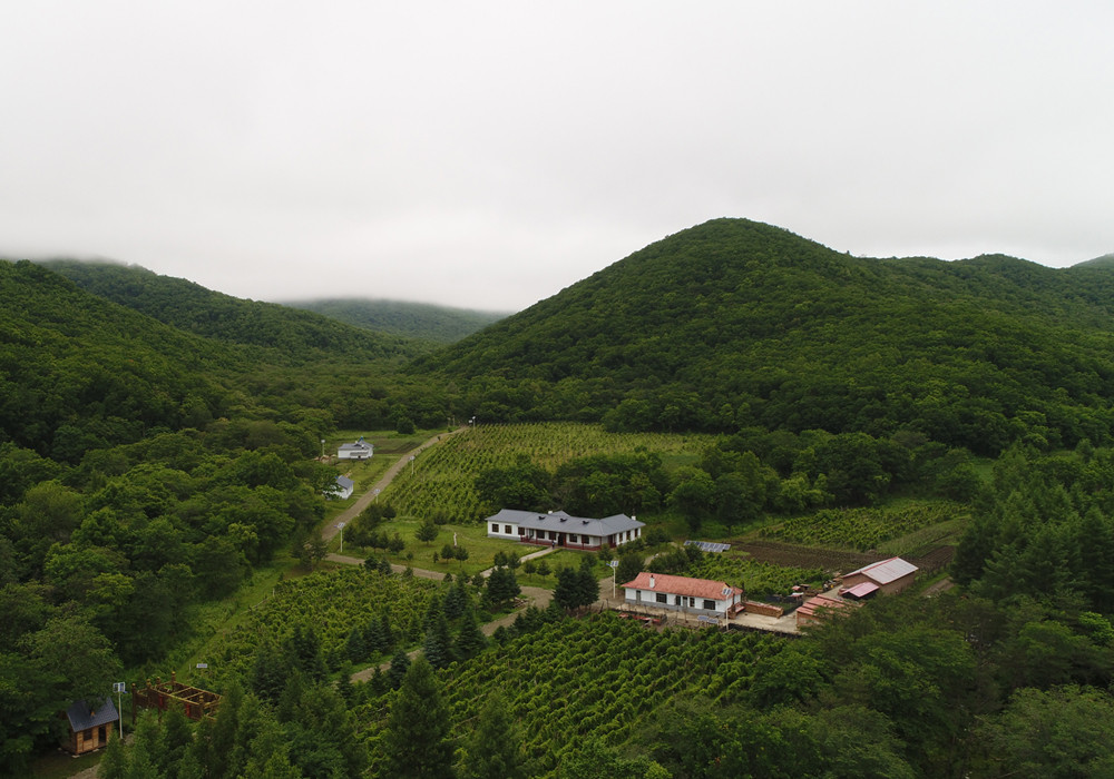 基地全景